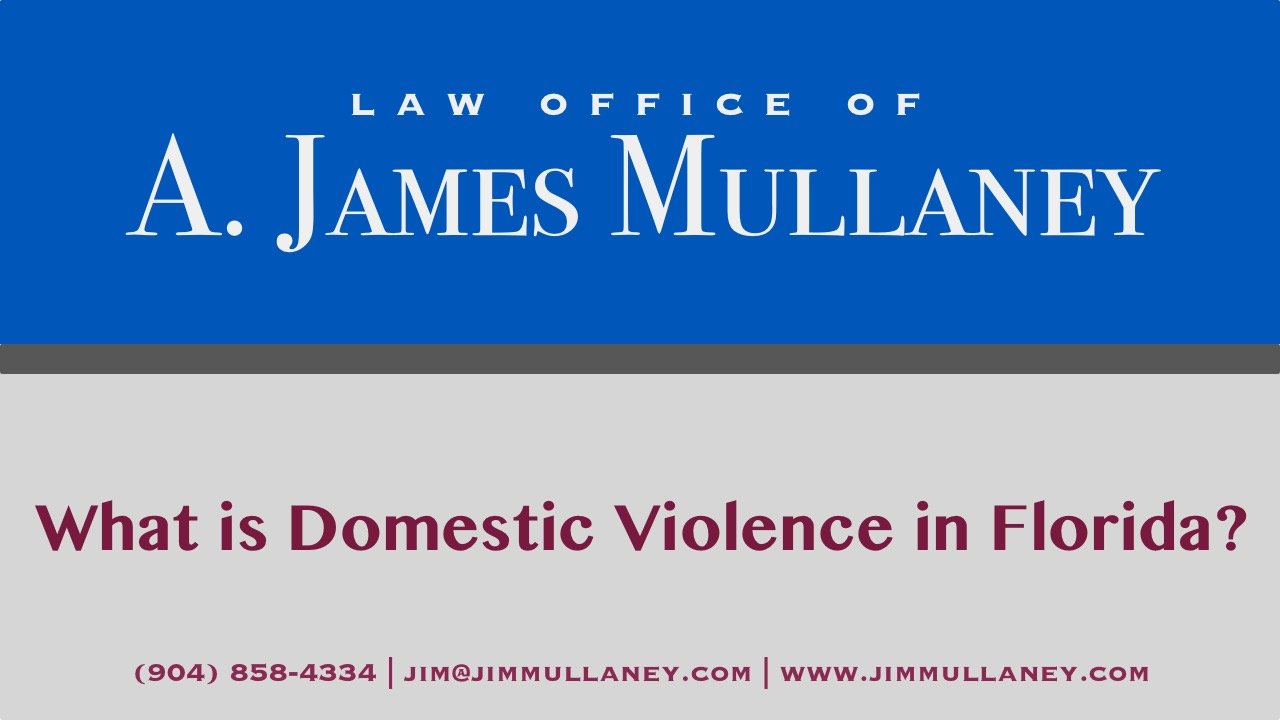 what is domestic violence in Florida
